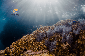 la paz vip tours all island tour