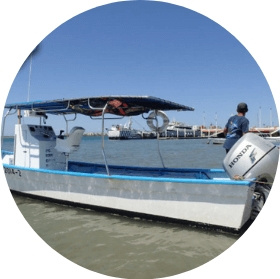 Jfa & Northwestern la paz vip tours