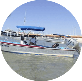 mar y sol II la paz vip tours